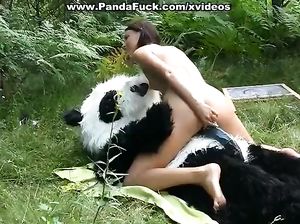Мишка панда вогнал страпон в дырочку Полины